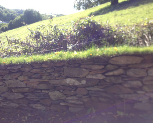 Hard Landscaping Project Totnes